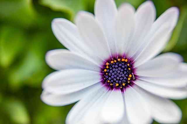 轻便小巧全画幅 佳能EOS RP微单值得选购吗-8.jpg