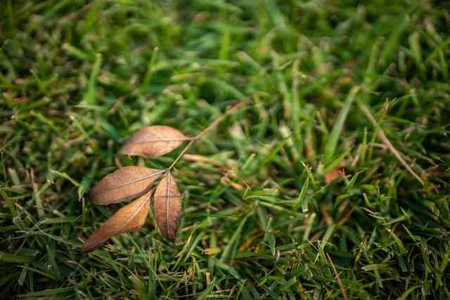 轻便小巧全画幅 佳能EOS RP微单值得选购吗-9.jpg