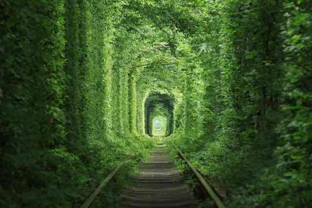 高性能与易用性兼得 佳能新微单EOS M6 II-7.jpg