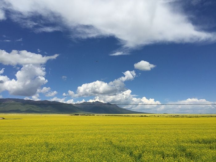 前景的运用 型男摄影师教你手机自拍旅行大片-2.jpg