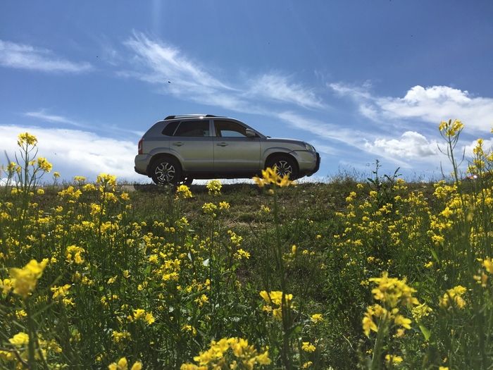 前景的运用 型男摄影师教你手机自拍旅行大片-4.jpg