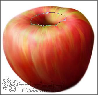Photoshop鼠绘一个鲜脆欲滴的苹果-13.jpg
