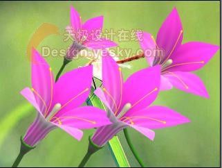 用3DsMax制作立体鲜花-19.jpg