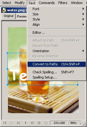 用Fireworks MX滤镜制作水痕文字-4.jpg