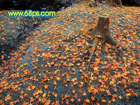 Photoshop打造一幅橙黄的落叶图-9.jpg