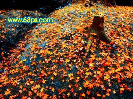 Photoshop打造一幅橙黄的落叶图-11.jpg