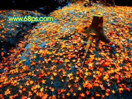 Photoshop打造一幅橙黄的落叶图-13.jpg