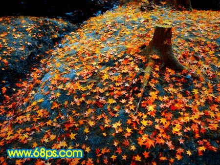 Photoshop打造一幅橙黄的落叶图-15.jpg