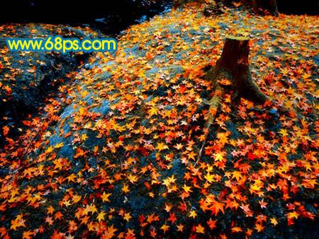 Photoshop打造一幅橙黄的落叶图-17.jpg