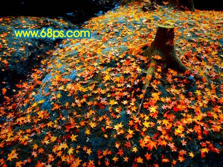 Photoshop打造一幅橙黄的落叶图-19.jpg