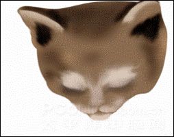 Photoshop鼠绘教程：可爱的小猫-3.jpg
