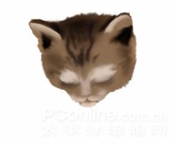 Photoshop鼠绘教程：可爱的小猫-5.jpg