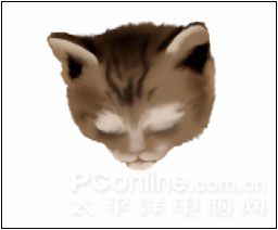 Photoshop鼠绘教程：可爱的小猫-6.jpg