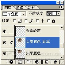 Photoshop鼠绘教程：可爱的小猫-7.gif