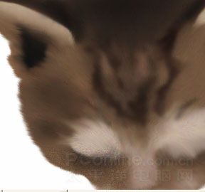 Photoshop鼠绘教程：可爱的小猫-9.jpg