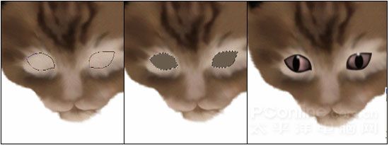 Photoshop鼠绘教程：可爱的小猫-11.jpg