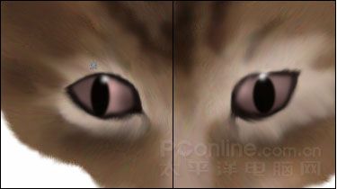 Photoshop鼠绘教程：可爱的小猫-12.jpg