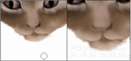 Photoshop鼠绘教程：可爱的小猫-13.jpg