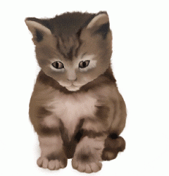 Photoshop鼠绘教程：可爱的小猫-20.gif