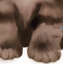 Photoshop鼠绘教程：可爱的小猫-21.gif