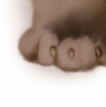 Photoshop鼠绘教程：可爱的小猫-25.jpg