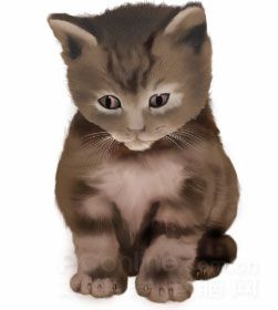 Photoshop鼠绘教程：可爱的小猫-26.jpg
