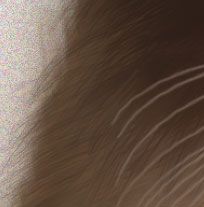 Photoshop鼠绘教程：可爱的小猫-28.jpg