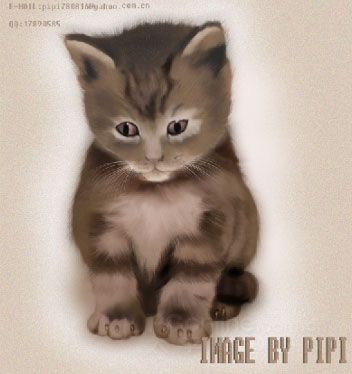 Photoshop鼠绘教程：可爱的小猫-29.jpg
