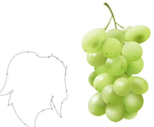 Photoshop鼠绘实例：鲜美葡萄-28.jpg