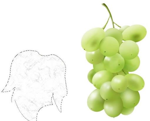 Photoshop鼠绘实例：鲜美葡萄-32.jpg