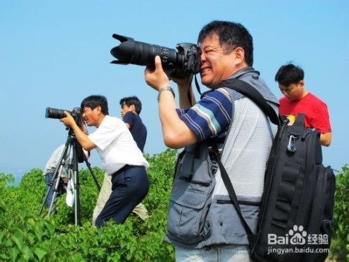 怎么学习摄影 摄影入门教程-7.jpg