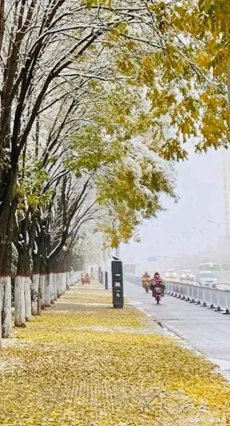 学习摄影技巧，提升照片质量，把秋景和雪景拍成风景大片-17.jpg
