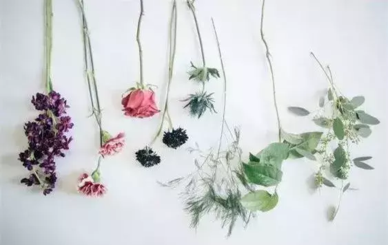 把家里的鲜花，分分钟插出花店的效果，简单插花教程-10.jpg