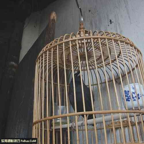 简单的正方形构图法则-22.jpg