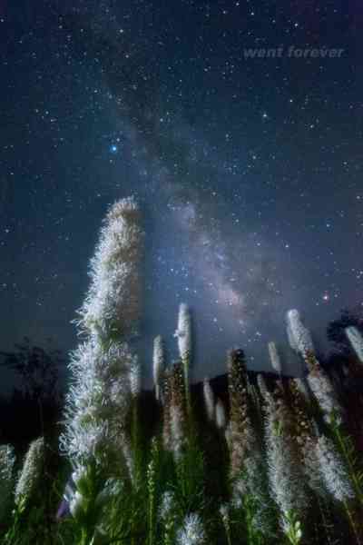 星空摄影之另一种武器“宫坂大法”-6.jpg