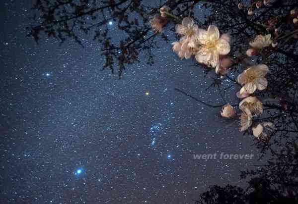 星空摄影之另一种武器“宫坂大法”-17.jpg