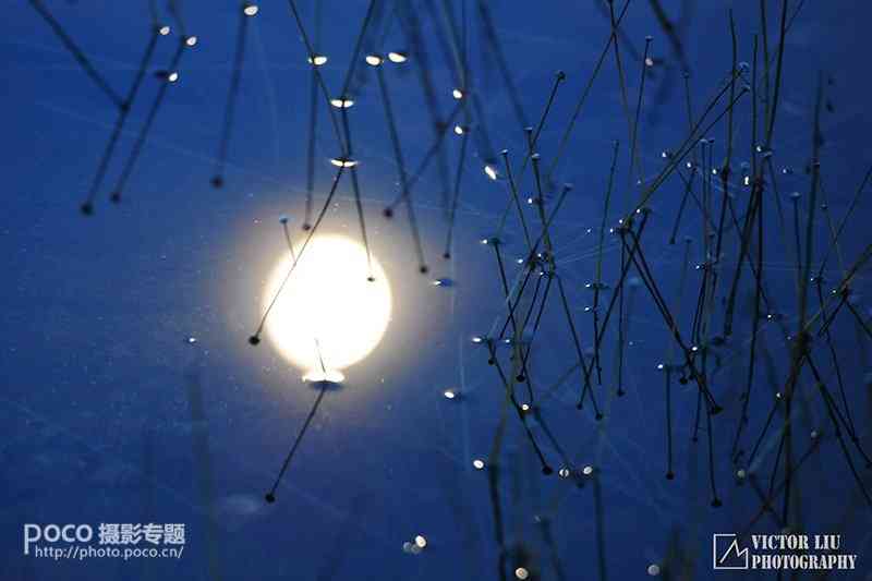 浅谈微型风景摄影的用光-9.jpg
