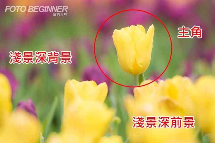 黄金3元素让你拍出更漂亮的相片-2.jpg