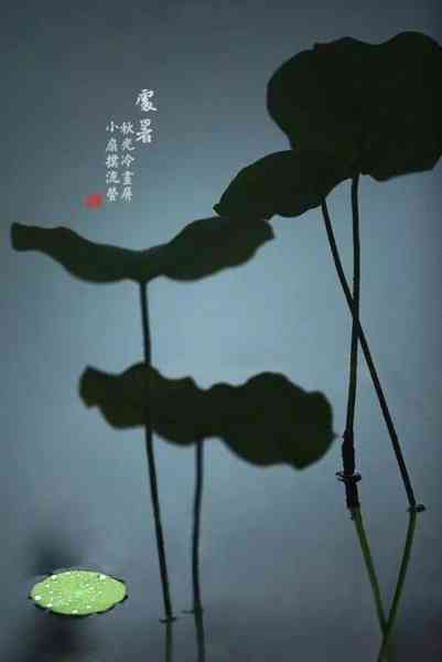 摄影构图一招让你脑洞大开-20.jpg