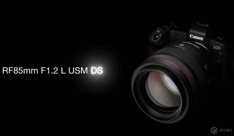佳能 RF 85mm f/1.2L USM DS 极致虚化体验-7.jpeg