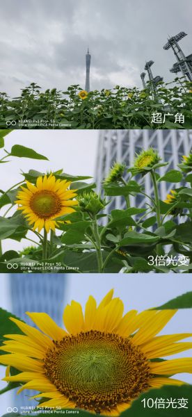 华为P40 ：小伙用100倍变焦拍到1166米外精彩瞬间-8.jpg