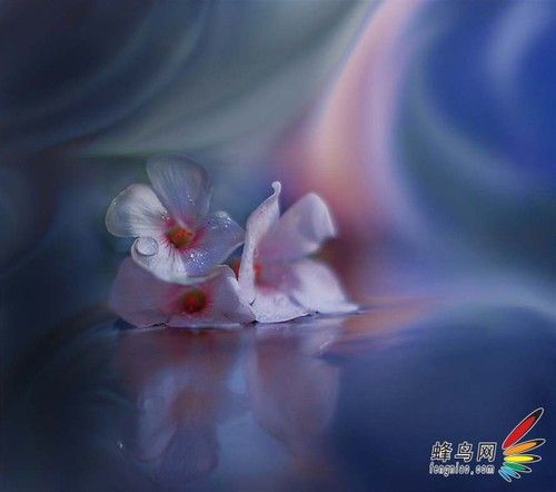 用美学的视角拍大片-12.jpg