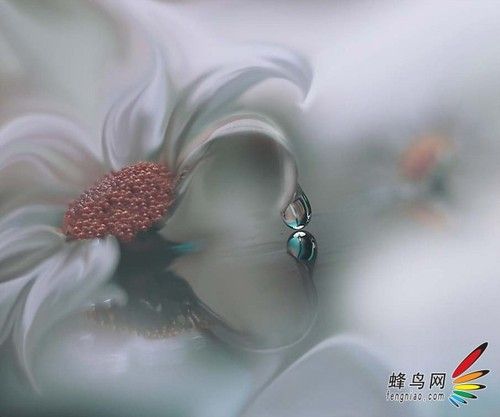 用美学的视角拍大片-14.jpg