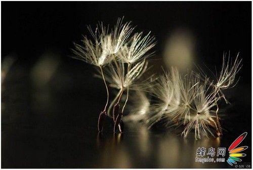 用美学的视角拍大片-16.jpg