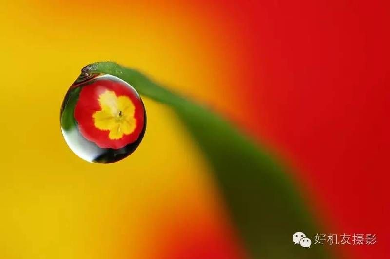 这次构图全了吧-6.jpg