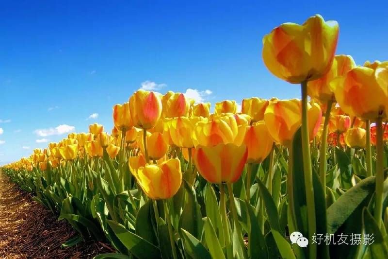 这次构图全了吧-16.jpg