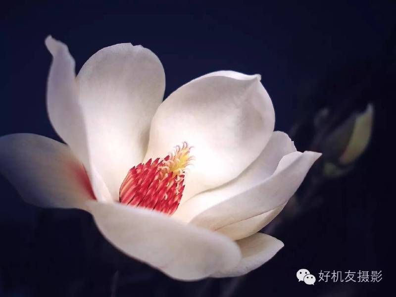 这次构图全了吧-32.jpg