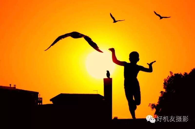 这次构图全了吧-35.jpg