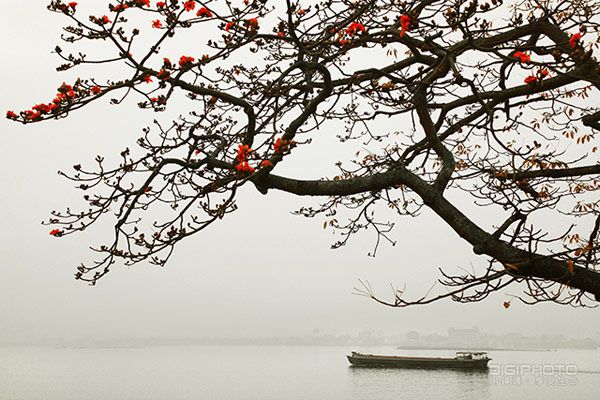 一分钟掌握好构图-1.jpg