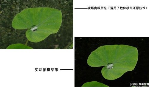玩转点测光 实图解析测光点的精准选择-1.jpg